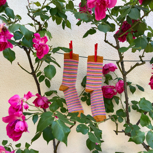 Chaussettes Paulette la Graphique